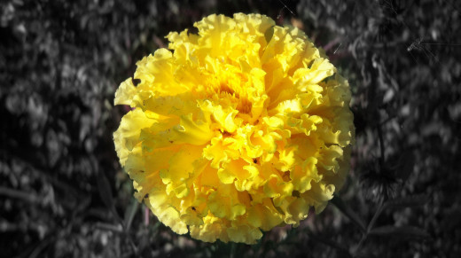 780219 (a): :1934x1080